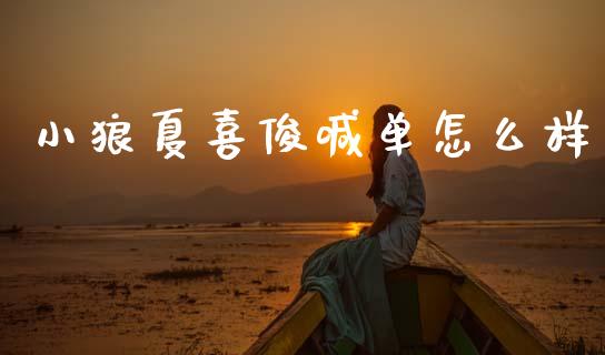 小狼夏喜俊喊单怎么样_https://m.fansifence.com_消费金融_第1张