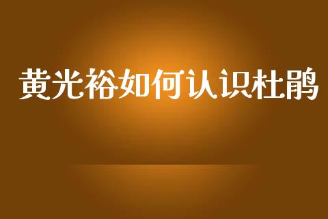 黄光裕如何认识杜鹃_https://m.fansifence.com_贵金属行情_第1张