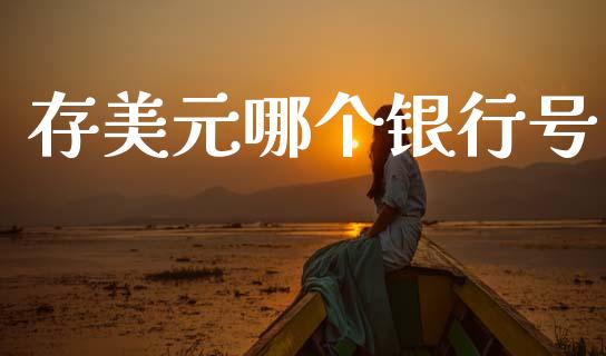 存美元哪个银行号_https://m.fansifence.com_消费金融_第1张