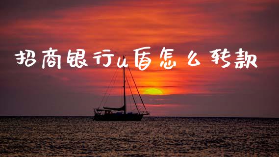 招商银行u盾怎么转款_https://m.fansifence.com_消费金融_第1张