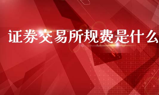 证券交易所规费是什么_https://m.fansifence.com_公募基金_第1张