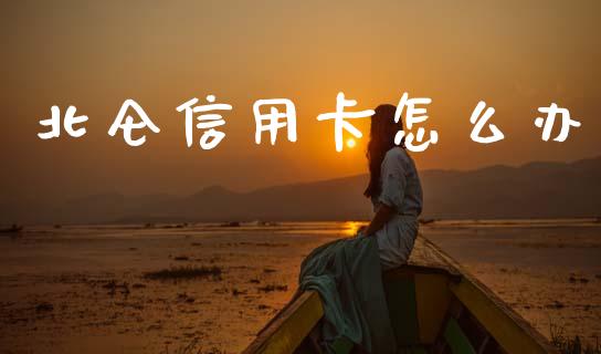 北仑信用卡怎么办_https://m.fansifence.com_个股行情_第1张