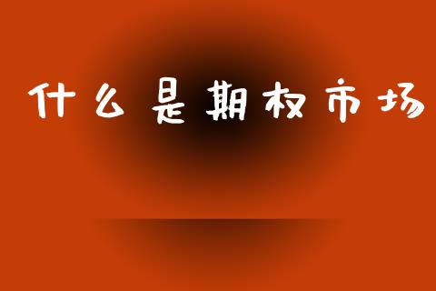 什么是期权市场_https://m.fansifence.com_个股行情_第1张