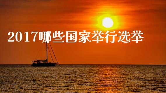 2017哪些国家举行选举_https://m.fansifence.com_消费金融_第1张