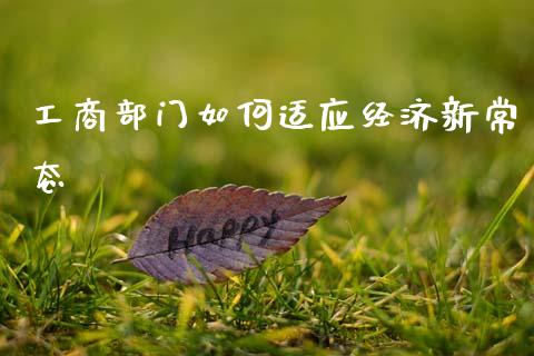 工商部门如何适应经济新常态_https://m.fansifence.com_贵金属行情_第1张