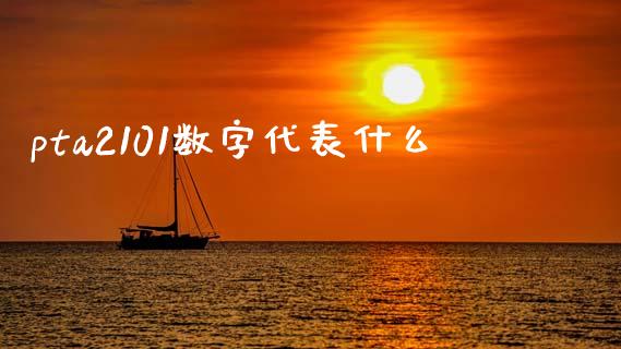 pta2101数字代表什么_https://m.fansifence.com_公募基金_第1张
