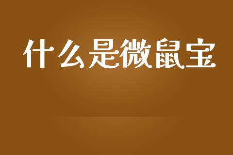 什么是微鼠宝_https://m.fansifence.com_个股行情_第1张