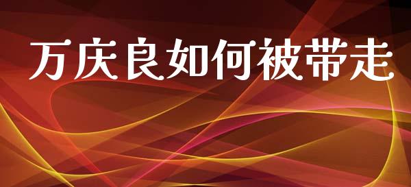 万庆良如何被带走_https://m.fansifence.com_消费金融_第1张