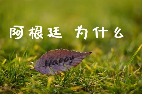 阿根廷 为什么_https://m.fansifence.com_公募基金_第1张