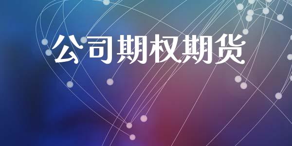 公司期权期货_https://m.fansifence.com_消费金融_第1张