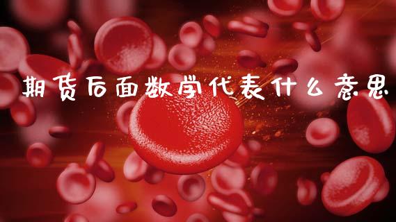 期货后面数学代表什么意思_https://m.fansifence.com_消费金融_第1张