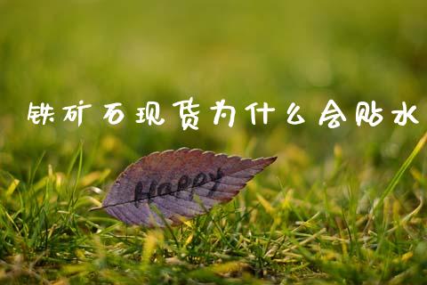铁矿石现货为什么会贴水_https://m.fansifence.com_消费金融_第1张
