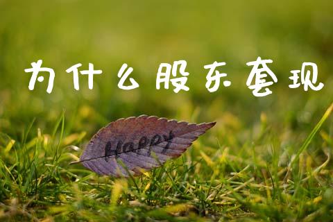 为什么股东套现_https://m.fansifence.com_个股行情_第1张