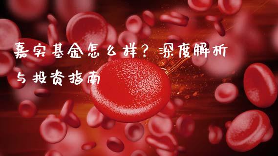 嘉实基金怎么样？深度解析与投资指南_https://m.fansifence.com_公募基金_第1张