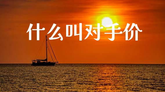什么叫对手价_https://m.fansifence.com_消费金融_第1张