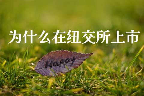 为什么在纽交所上市_https://m.fansifence.com_个股行情_第1张