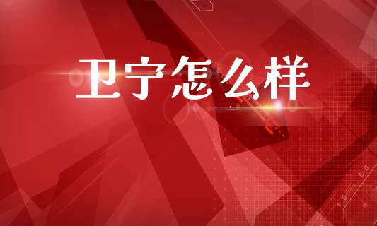 卫宁怎么样_https://m.fansifence.com_公募基金_第1张