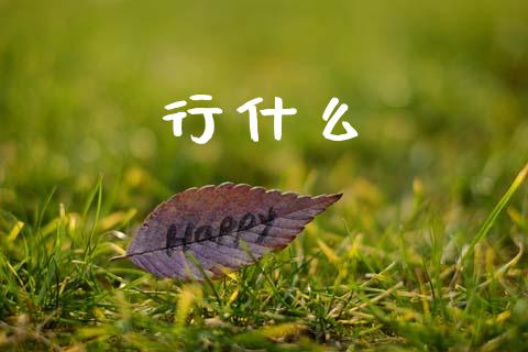 行什么_https://m.fansifence.com_消费金融_第1张