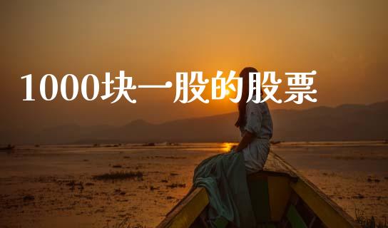 1000块一股的股票_https://m.fansifence.com_公募基金_第1张