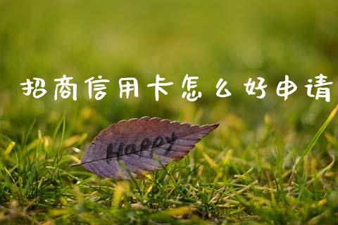 招商信用卡怎么好申请_https://m.fansifence.com_公募基金_第1张