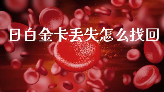 日白金卡丢失怎么找回_https://m.fansifence.com_贵金属行情_第1张