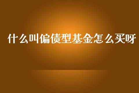 什么叫偏债型基金怎么买呀_https://m.fansifence.com_公募基金_第1张