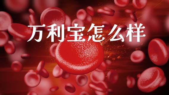 万利宝怎么样_https://m.fansifence.com_消费金融_第1张