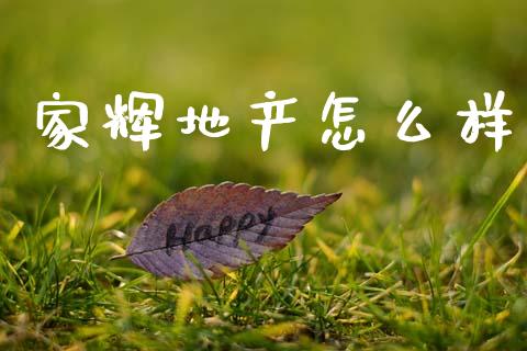 家辉地产怎么样_https://m.fansifence.com_贵金属行情_第1张