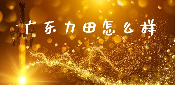 广东力田怎么样_https://m.fansifence.com_公募基金_第1张