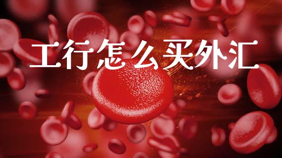 工行怎么买外汇_https://m.fansifence.com_贵金属行情_第1张