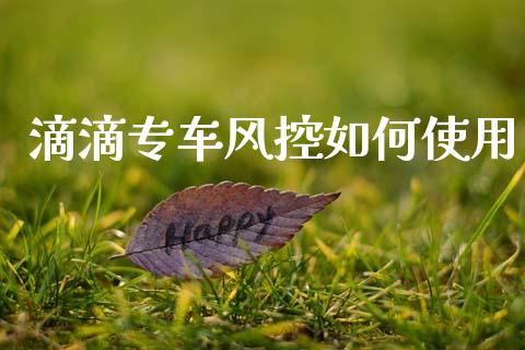 滴滴专车风控如何使用_https://m.fansifence.com_个股行情_第1张