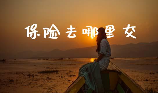 保险去哪里交_https://m.fansifence.com_消费金融_第1张