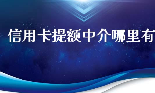 信用卡提额中介哪里有_https://m.fansifence.com_贵金属行情_第1张