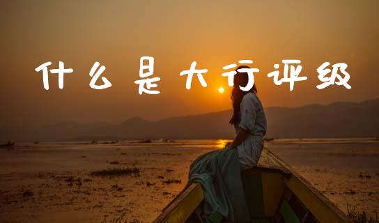 什么是大行评级_https://m.fansifence.com_贵金属行情_第1张