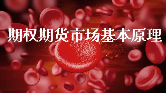 期权期货市场基本原理_https://m.fansifence.com_消费金融_第1张