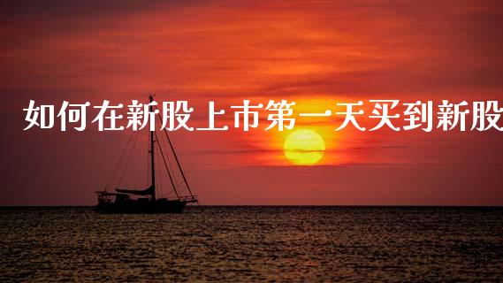 如何在新股上市第一天买到新股_https://m.fansifence.com_贵金属行情_第1张