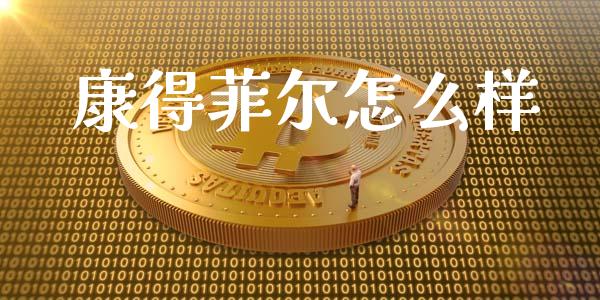 康得菲尔怎么样_https://m.fansifence.com_公募基金_第1张