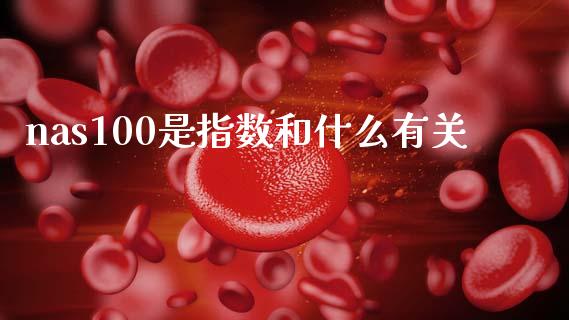 nas100是指数和什么有关_https://m.fansifence.com_贵金属行情_第1张