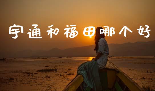 宇通和福田哪个好_https://m.fansifence.com_公募基金_第1张