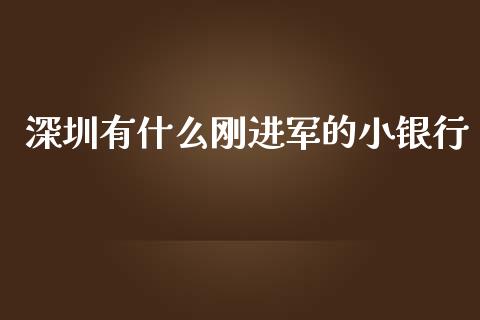 深圳有什么刚进军的小银行_https://m.fansifence.com_贵金属行情_第1张