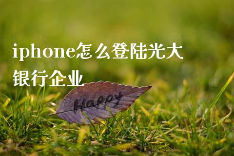 iphone怎么登陆光大银行企业_https://m.fansifence.com_消费金融_第1张