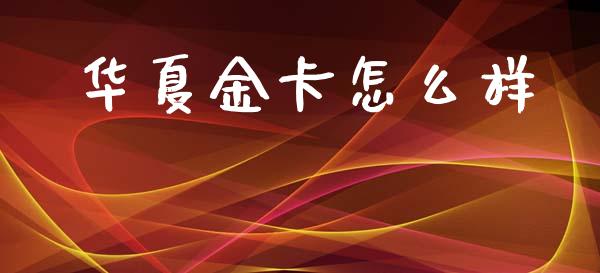 华夏金卡怎么样_https://m.fansifence.com_公募基金_第1张