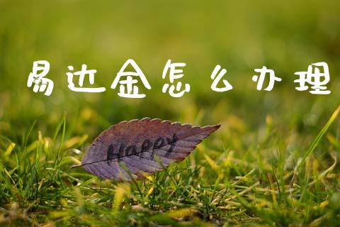易达金怎么办理_https://m.fansifence.com_消费金融_第1张