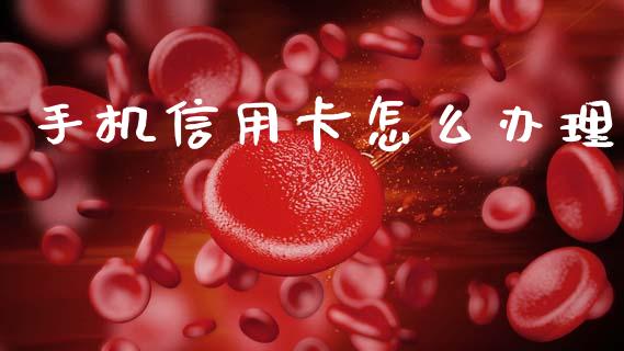 手机信用卡怎么办理_https://m.fansifence.com_个股行情_第1张