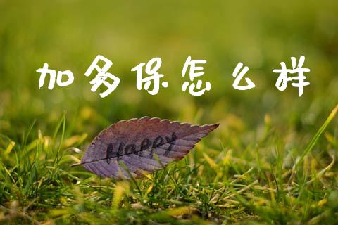 加多保怎么样_https://m.fansifence.com_公募基金_第1张