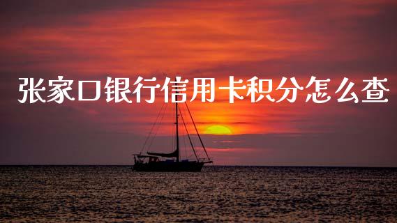 张家口银行信用卡积分怎么查_https://m.fansifence.com_公募基金_第1张
