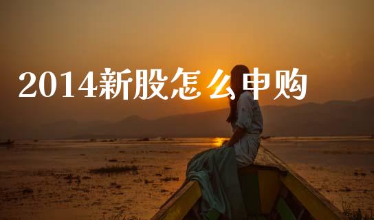 2014新股怎么申购_https://m.fansifence.com_公募基金_第1张