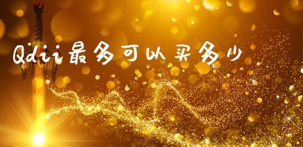 Qdii最多可以买多少_https://m.fansifence.com_公募基金_第1张