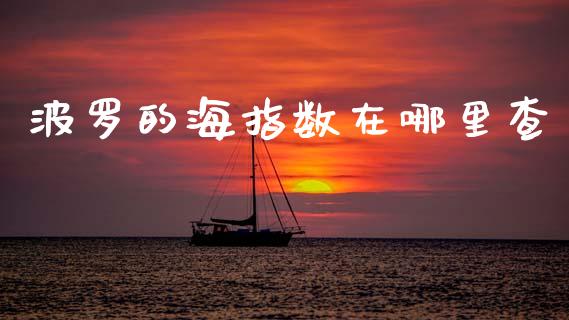 波罗的海指数在哪里查_https://m.fansifence.com_公募基金_第1张