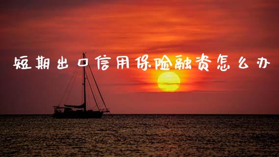 短期出口信用保险融资怎么办_https://m.fansifence.com_贵金属行情_第1张